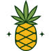 newport-cannabis-company-favicon-1